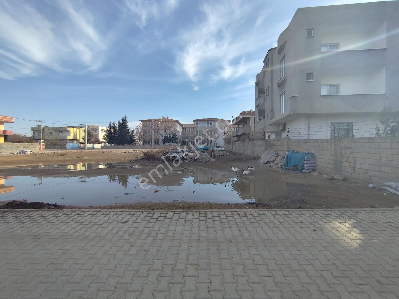 Acar Emlaktan Dicle Mahallesi Satılık İmarlı İfrazlı 495 M2 Arsa - Görsel 16