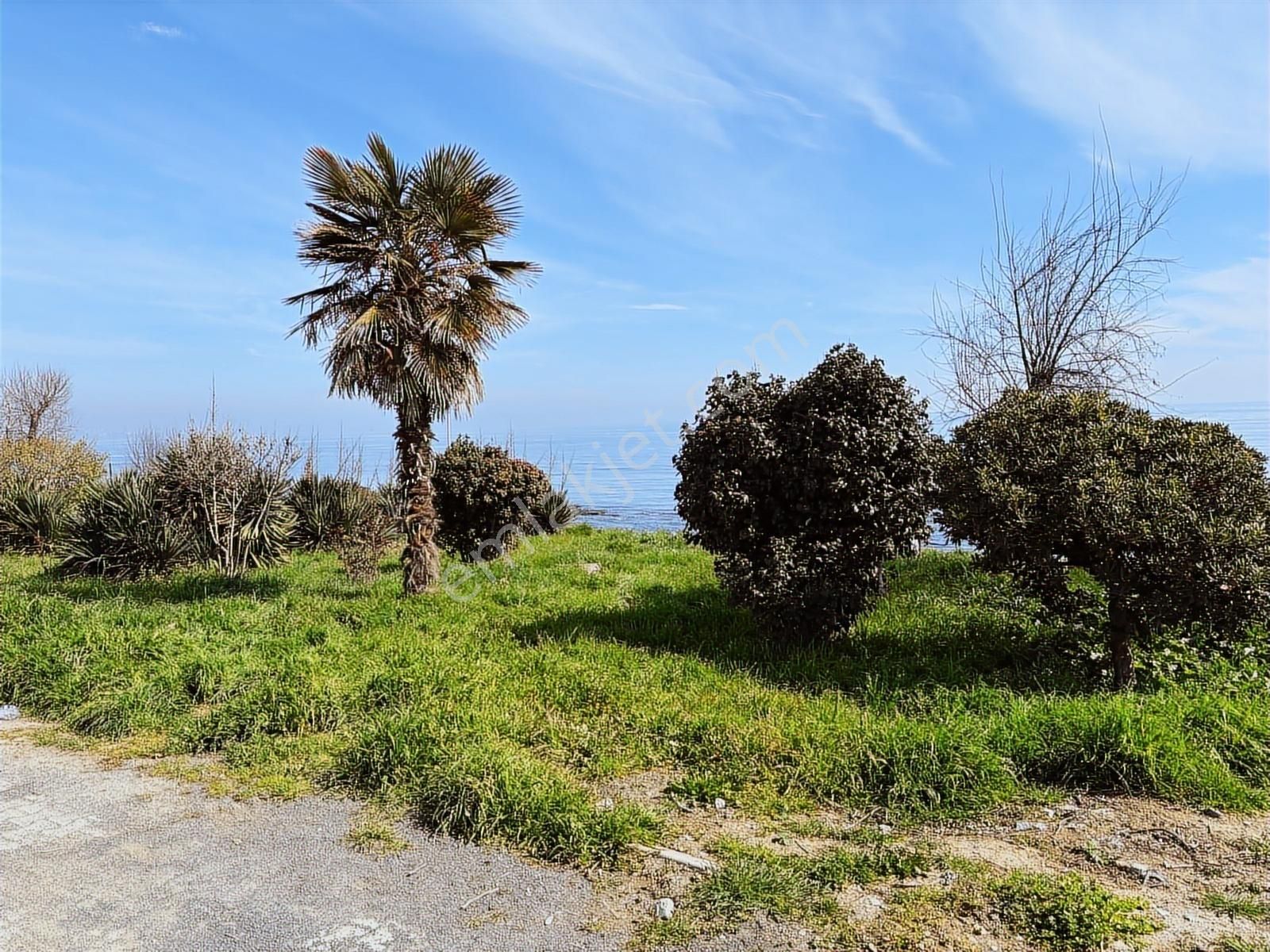 Tekirdağ Sahil Boyu Nda Denize 100 M. Muhteşem Villa Arsası - Görsel 7