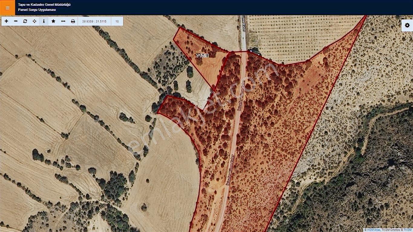 Başkan Emlaktan Satılık Mihalıççık Kozlu'da 3.519 M2 Tarla - Görsel 12
