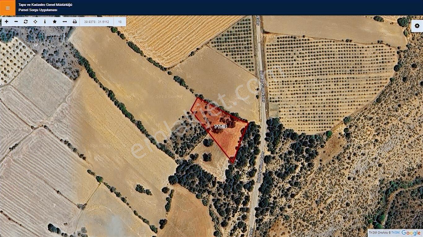 Başkan Emlaktan Satılık Mihalıççık Kozlu'da 3.519 M2 Tarla - Görsel 26