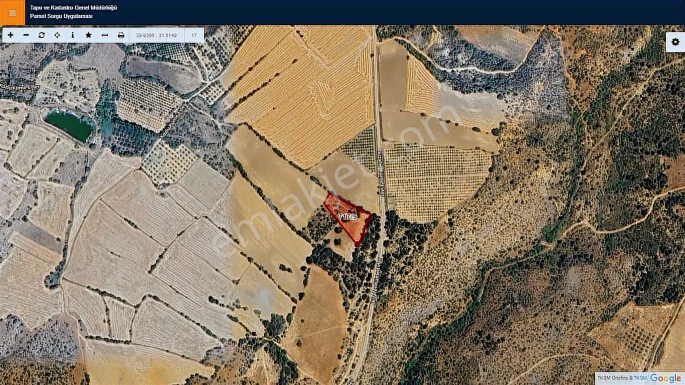 Başkan Emlaktan Satılık Mihalıççık Kozlu'da 3.519 M2 Tarla - Görsel 2