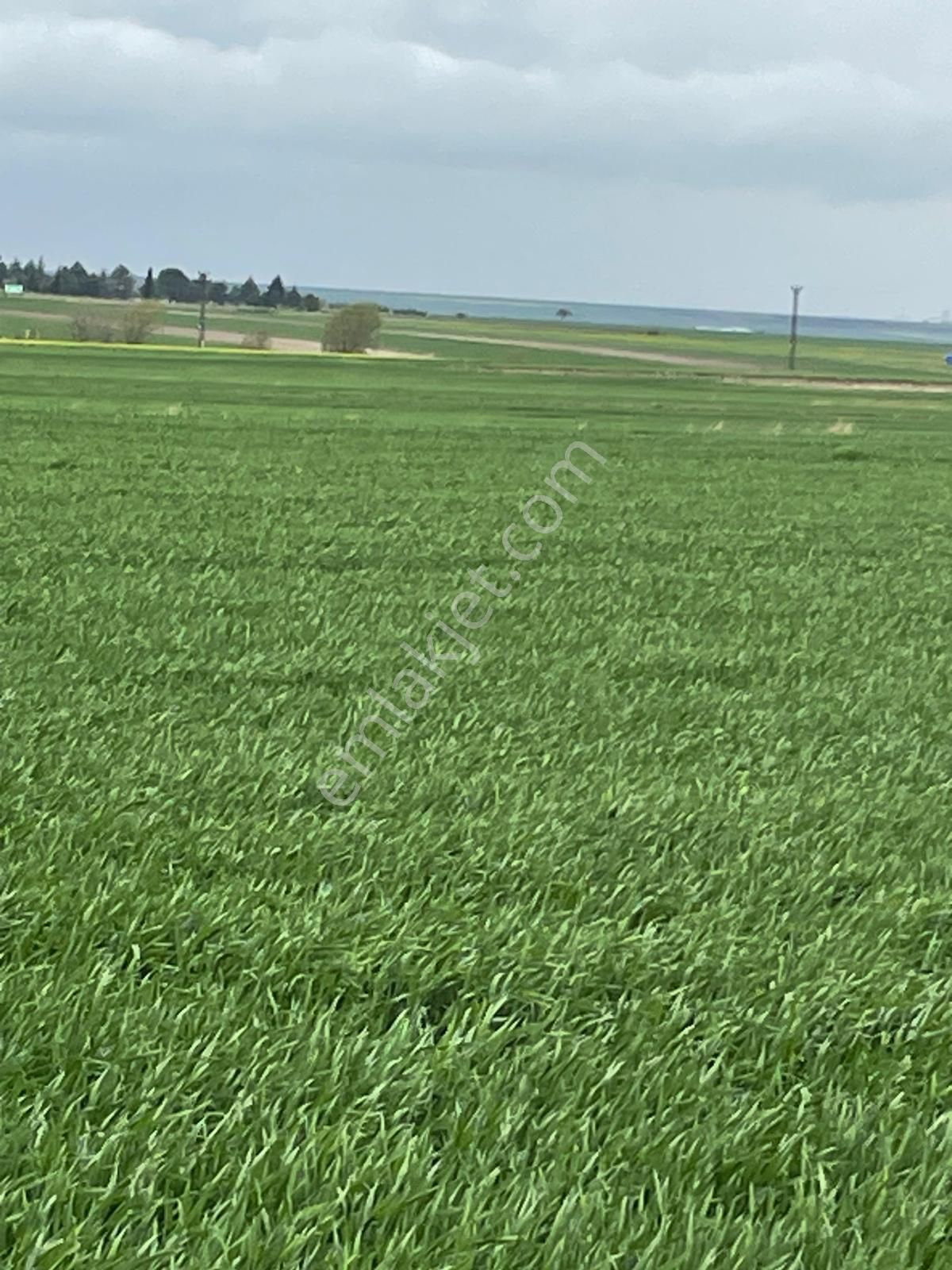 🔥 Emsallerinin Altında Fiyat! - Görsel 6