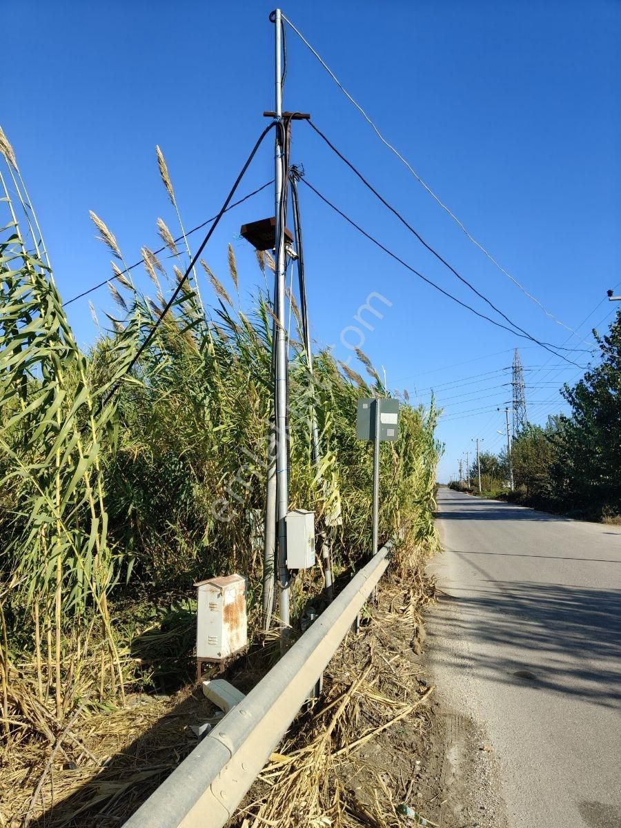 Kundu'da Tek Tapu Tarla - Görsel 8