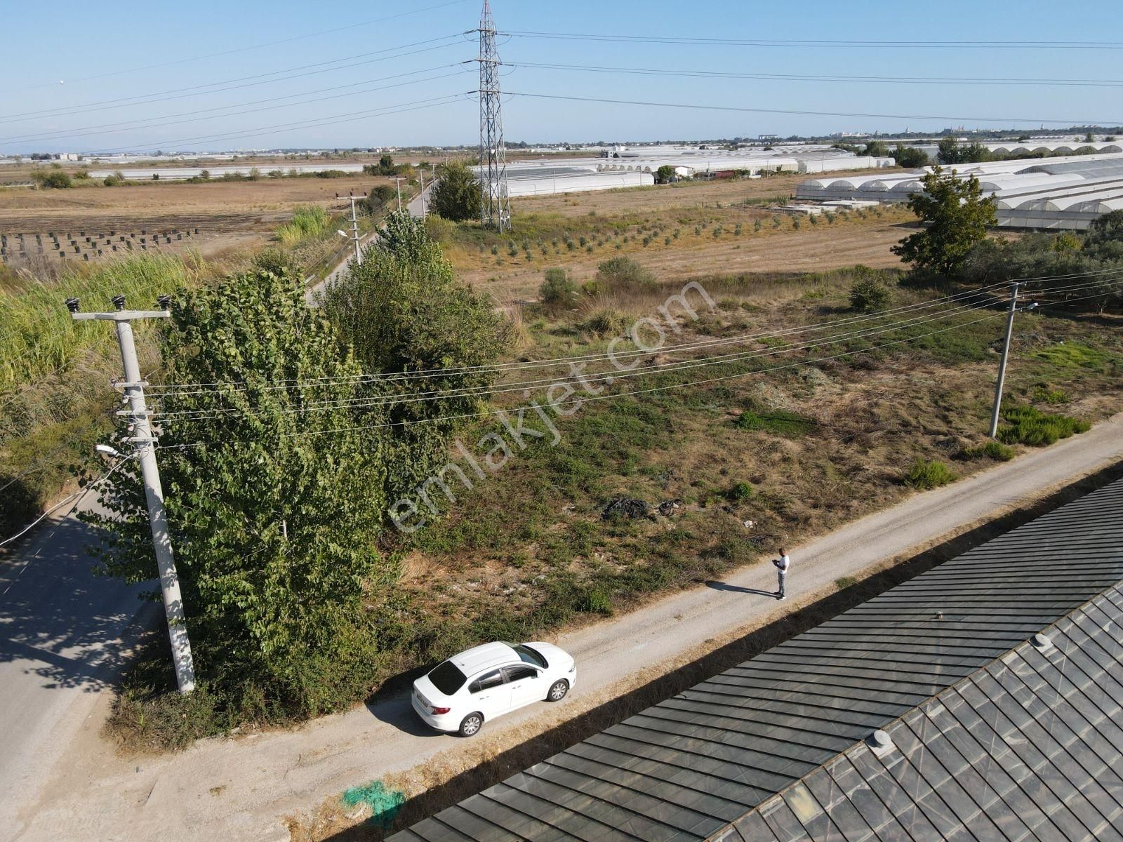 Kundu'da Tek Tapu Tarla