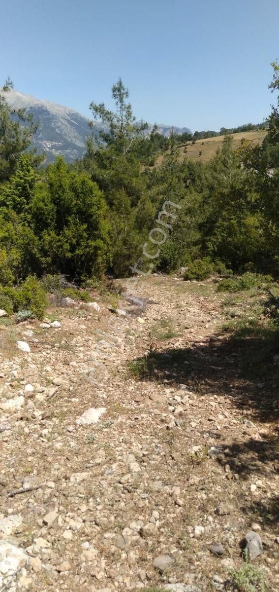 Araç Takaslı Antalya Konyaaltı Üçolukta Villa İmarlı Arsa - Görsel 3