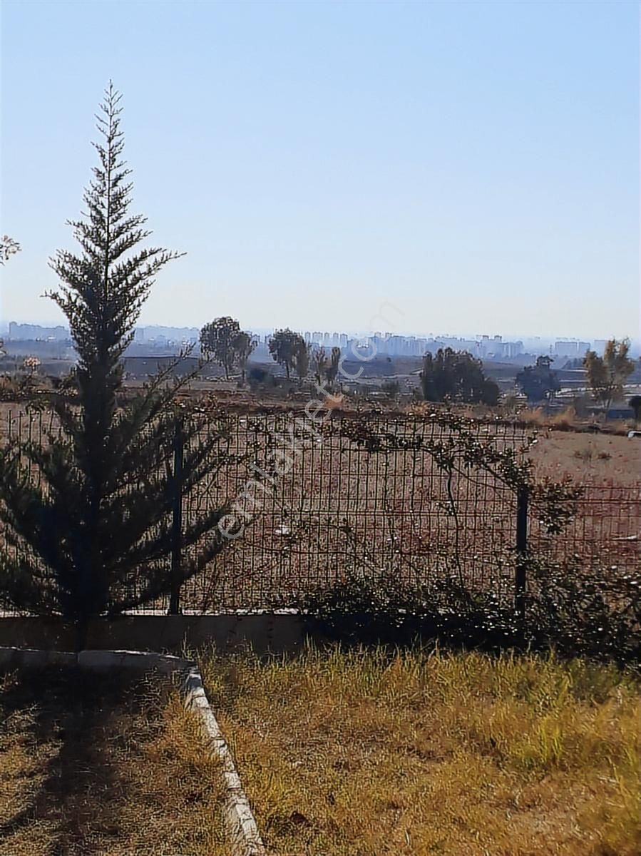 Stadyuma Yakın, Havuzlu, 3+1 Giyinme Odalı, Klimaya Gerek Yok - Görsel 10