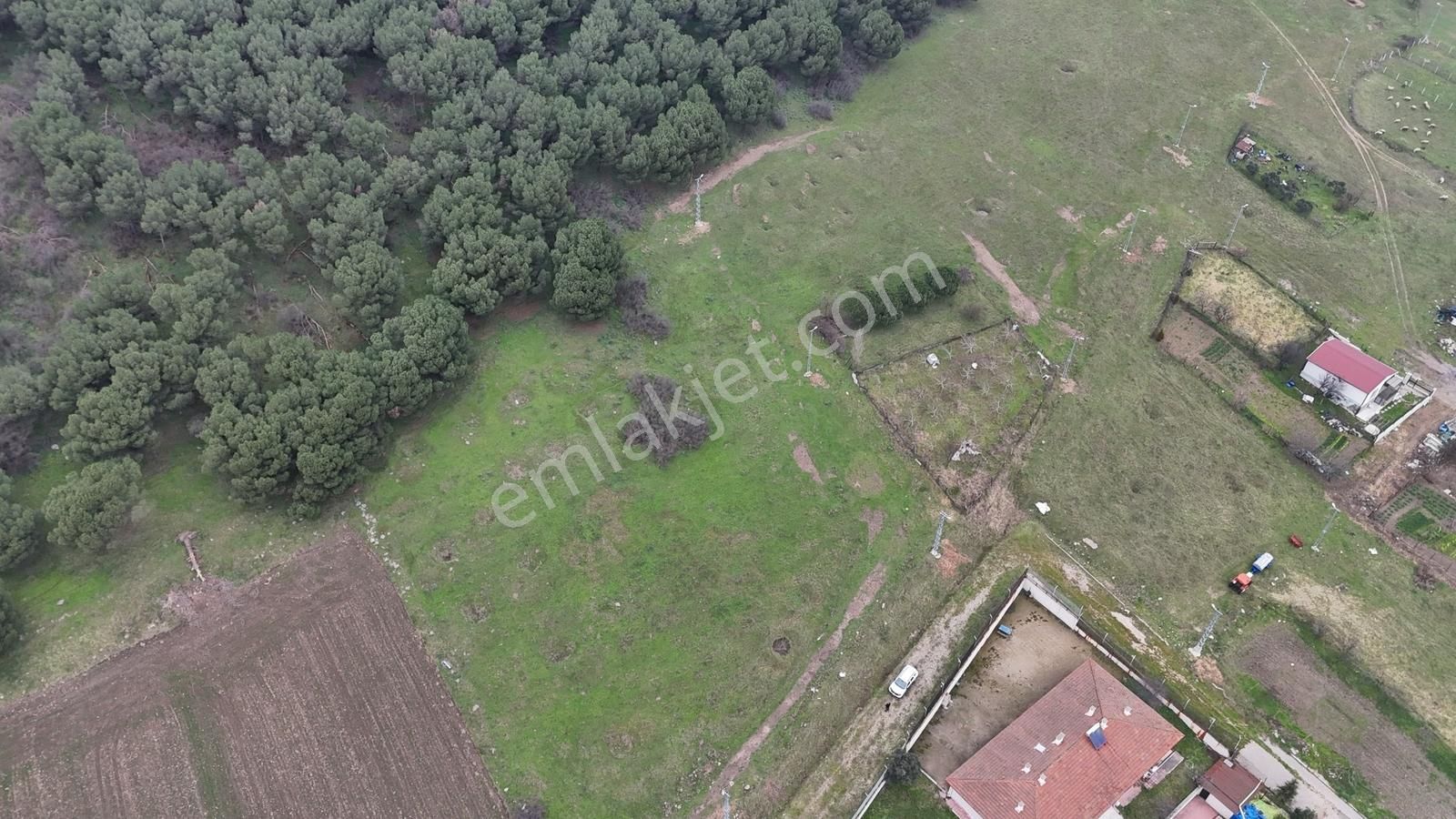 431 M² Mustakil Parsel Doğanın Kalbinde Geleceğin Yatırımı - Görsel 2