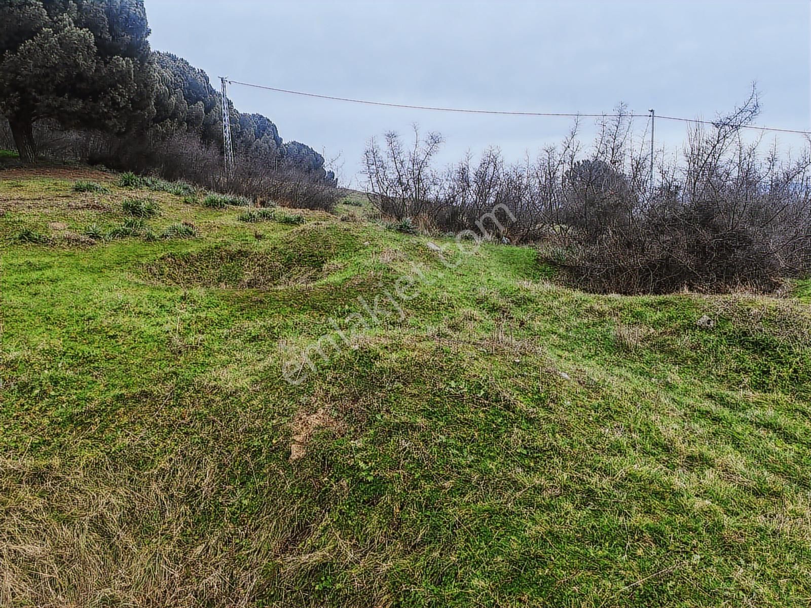 431 M² Mustakil Parsel Doğanın Kalbinde Geleceğin Yatırımı - Görsel 8