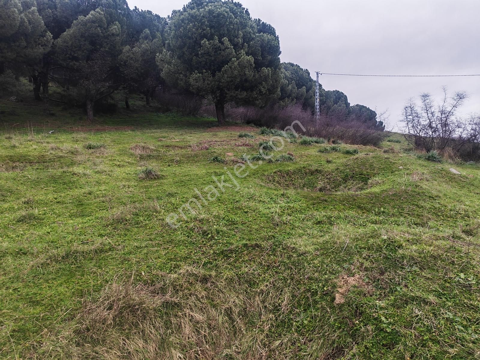 431 M² Mustakil Parsel Doğanın Kalbinde Geleceğin Yatırımı - Görsel 32