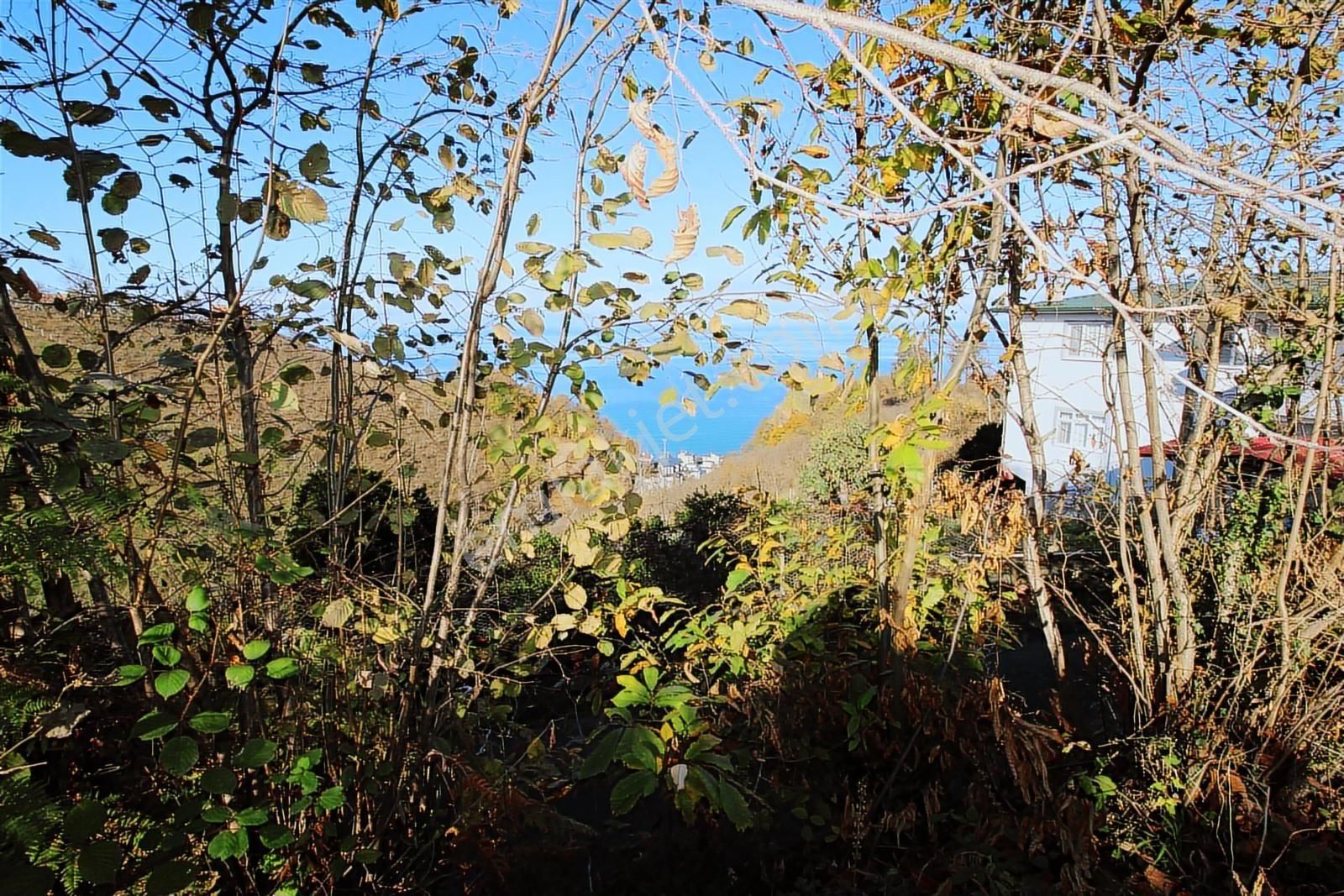 Trabzon Yomra Namıkkemal Mahallesinde Satılık Arsa - Görsel 4