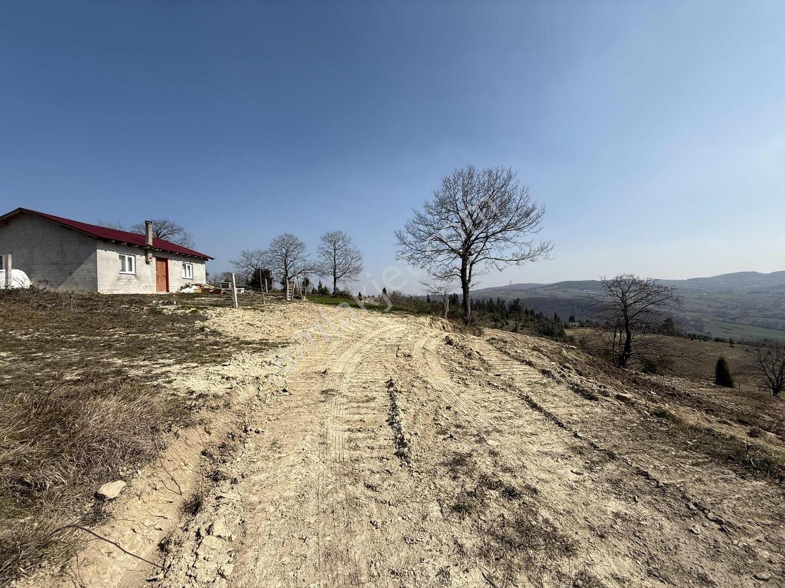 Acil Satılık Ulaşım Yolu Var %5 Konut İmarlı Tesfiyesi Yapılmış - Görsel 5