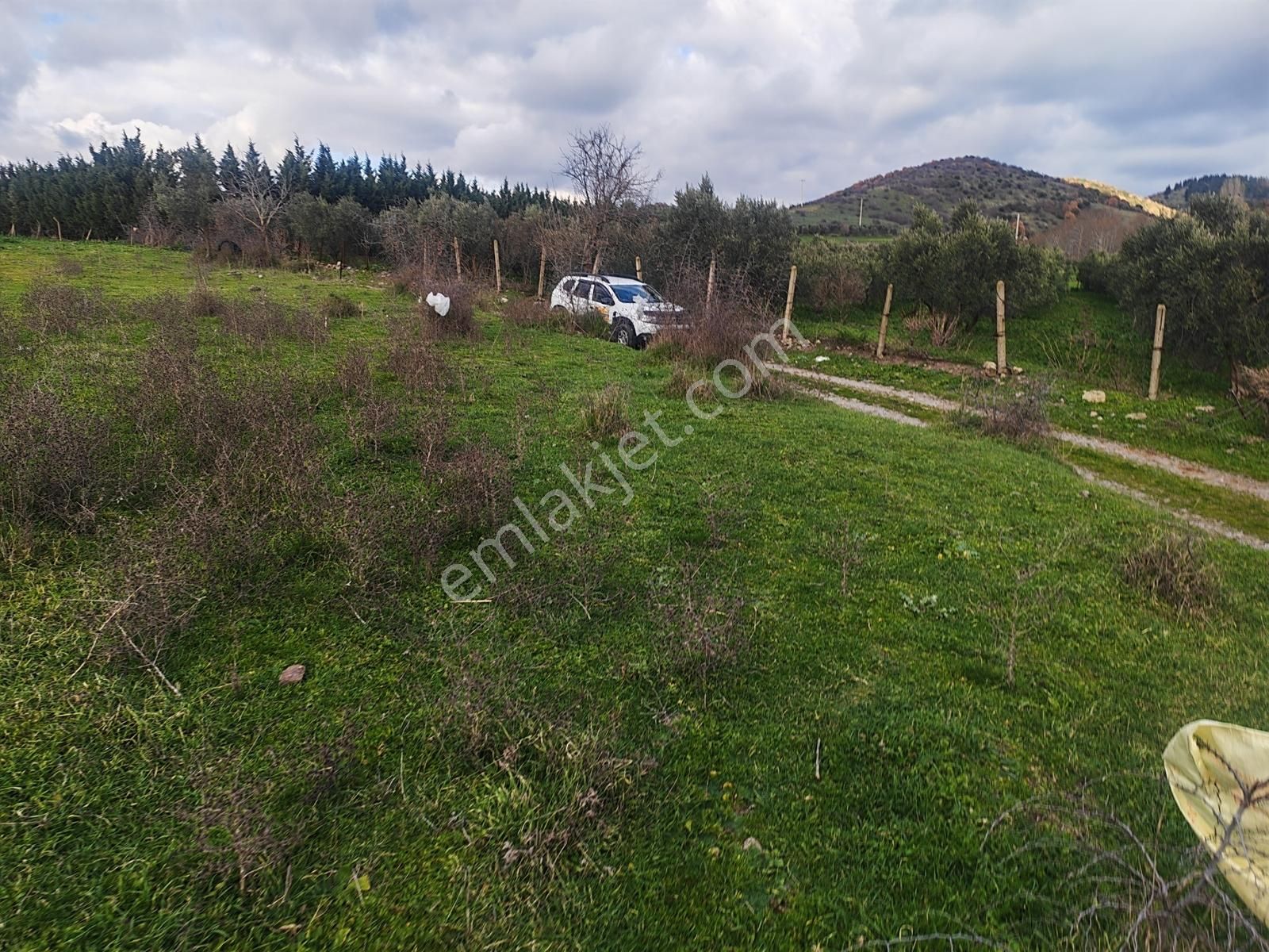 900 M² Konut İmarlı Arsa Prestijli Yaşam Ve Yüksek Yatırım Değer - Görsel 3