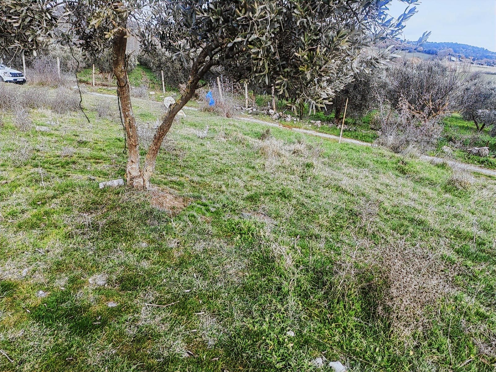 900 M² Konut İmarlı Arsa Prestijli Yaşam Ve Yüksek Yatırım Değer - Görsel 17