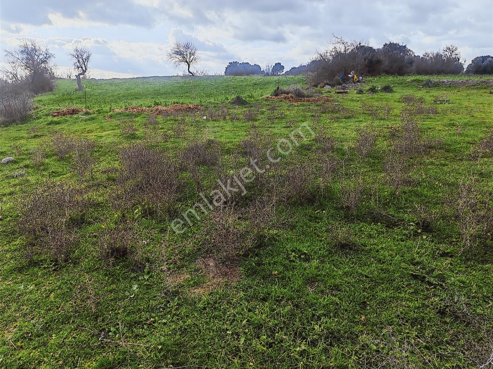 900 M² Konut İmarlı Arsa Prestijli Yaşam Ve Yüksek Yatırım Değer - Görsel 18