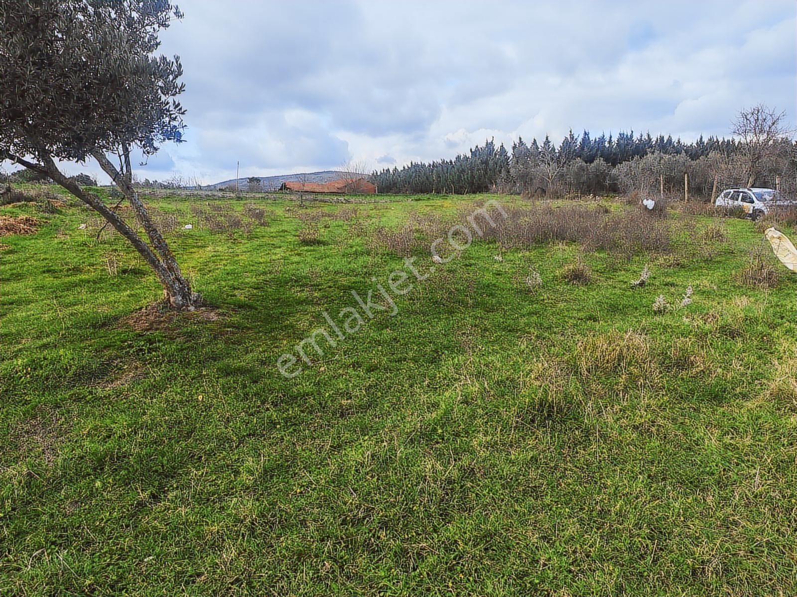 900 M² Konut İmarlı Arsa Prestijli Yaşam Ve Yüksek Yatırım Değer - Görsel 14