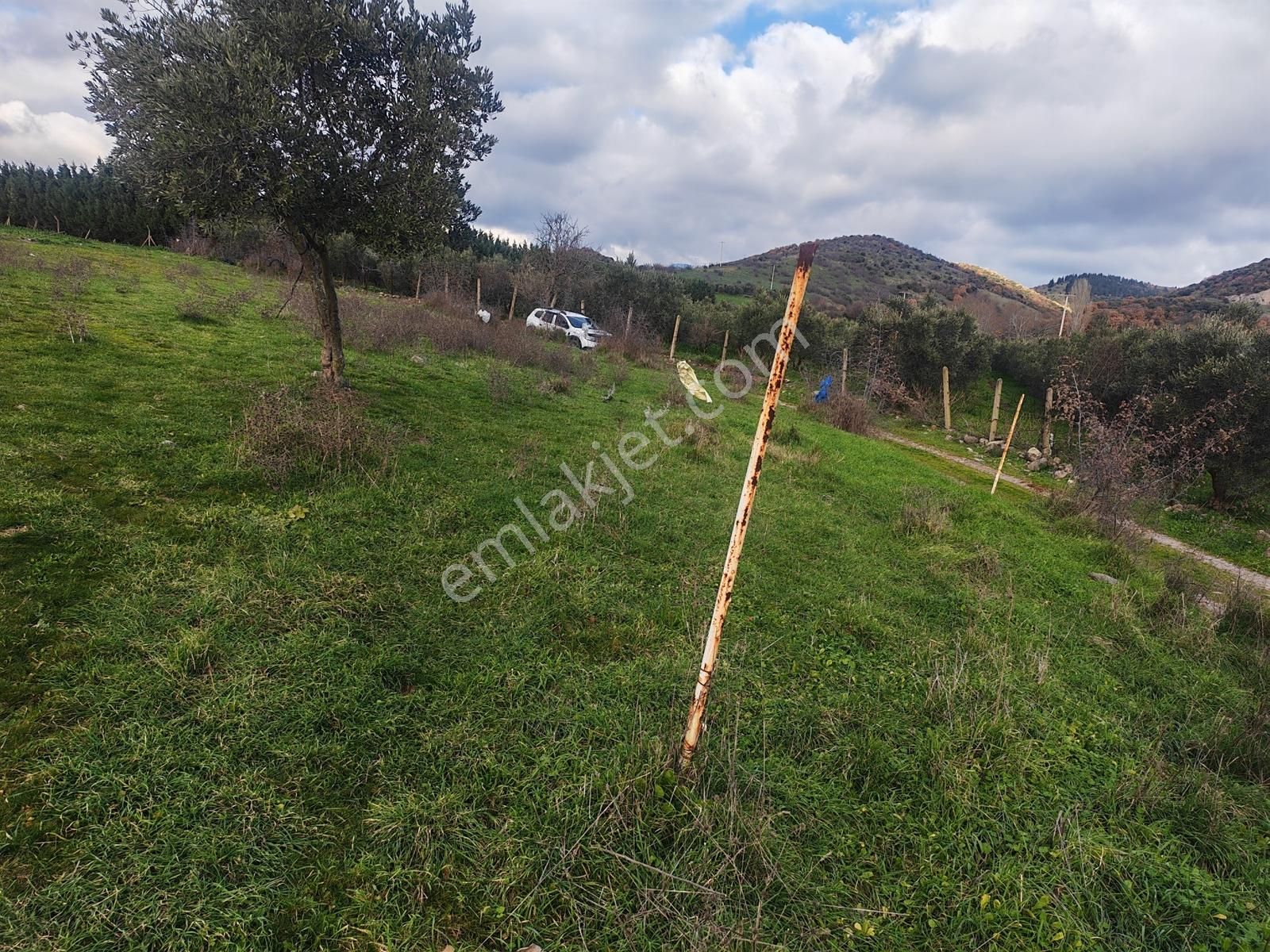 900 M² Konut İmarlı Arsa Prestijli Yaşam Ve Yüksek Yatırım Değer - Görsel 28