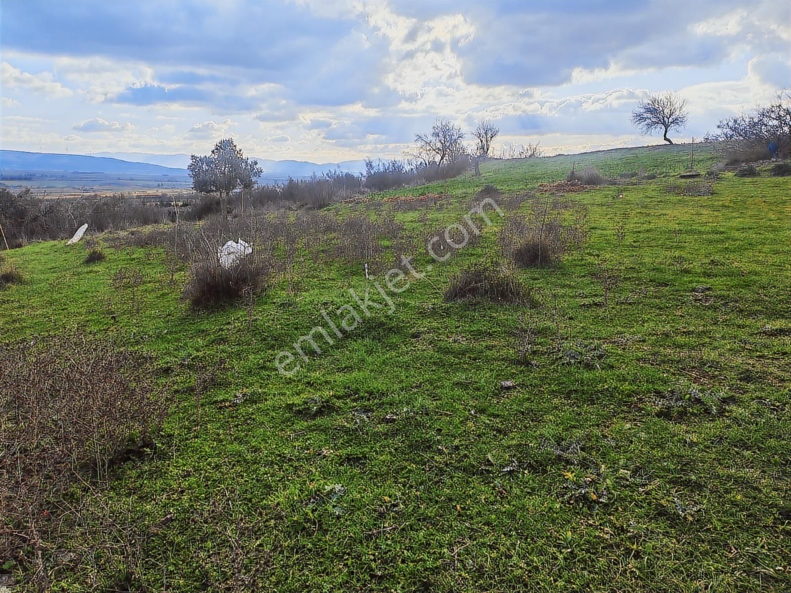 900 M² Konut İmarlı Arsa Prestijli Yaşam Ve Yüksek Yatırım Değer - Görsel 32