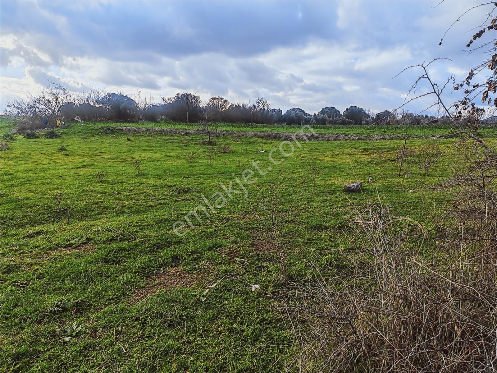 900 M² Konut İmarlı Arsa Prestijli Yaşam Ve Yüksek Yatırım Değer - Görsel 33