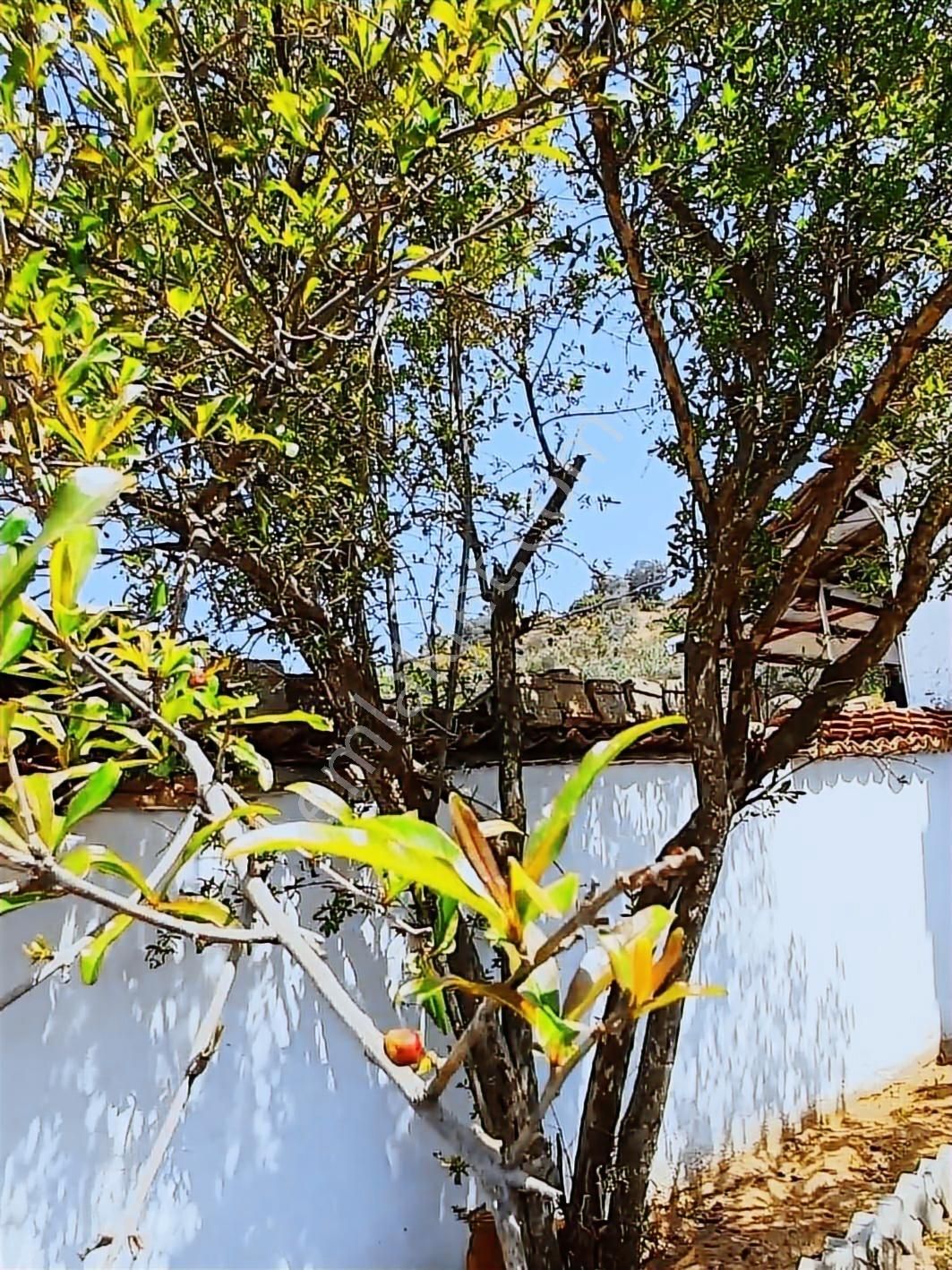 Tam Nokta Zenginler'den İş İmkanı Sunan Satılık Müstakil Ev - Görsel 13