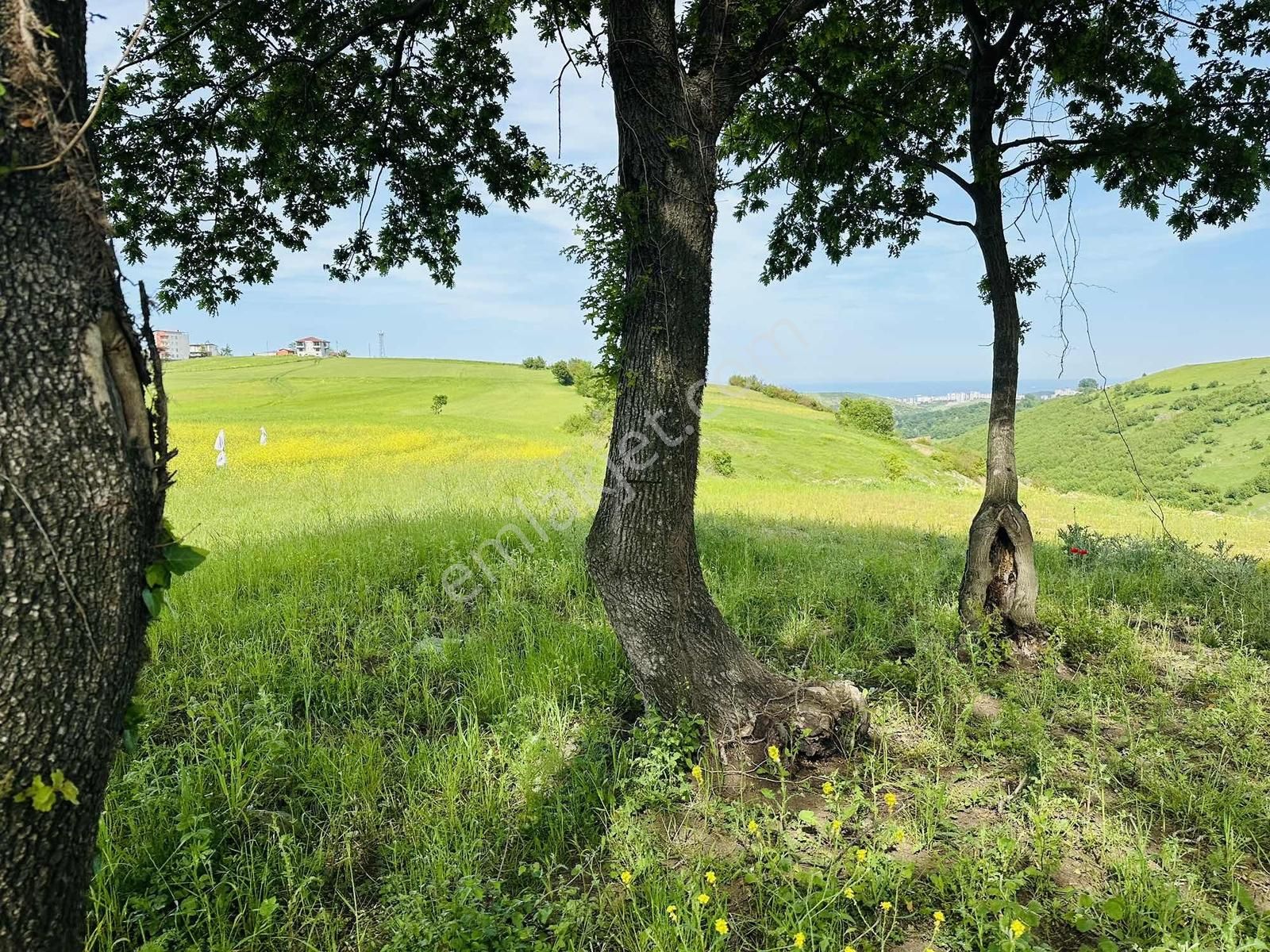 Full Deniz Manzaralı İmar Sınırında Satılık 7237 M2 Fırsat Tarla - Görsel 20