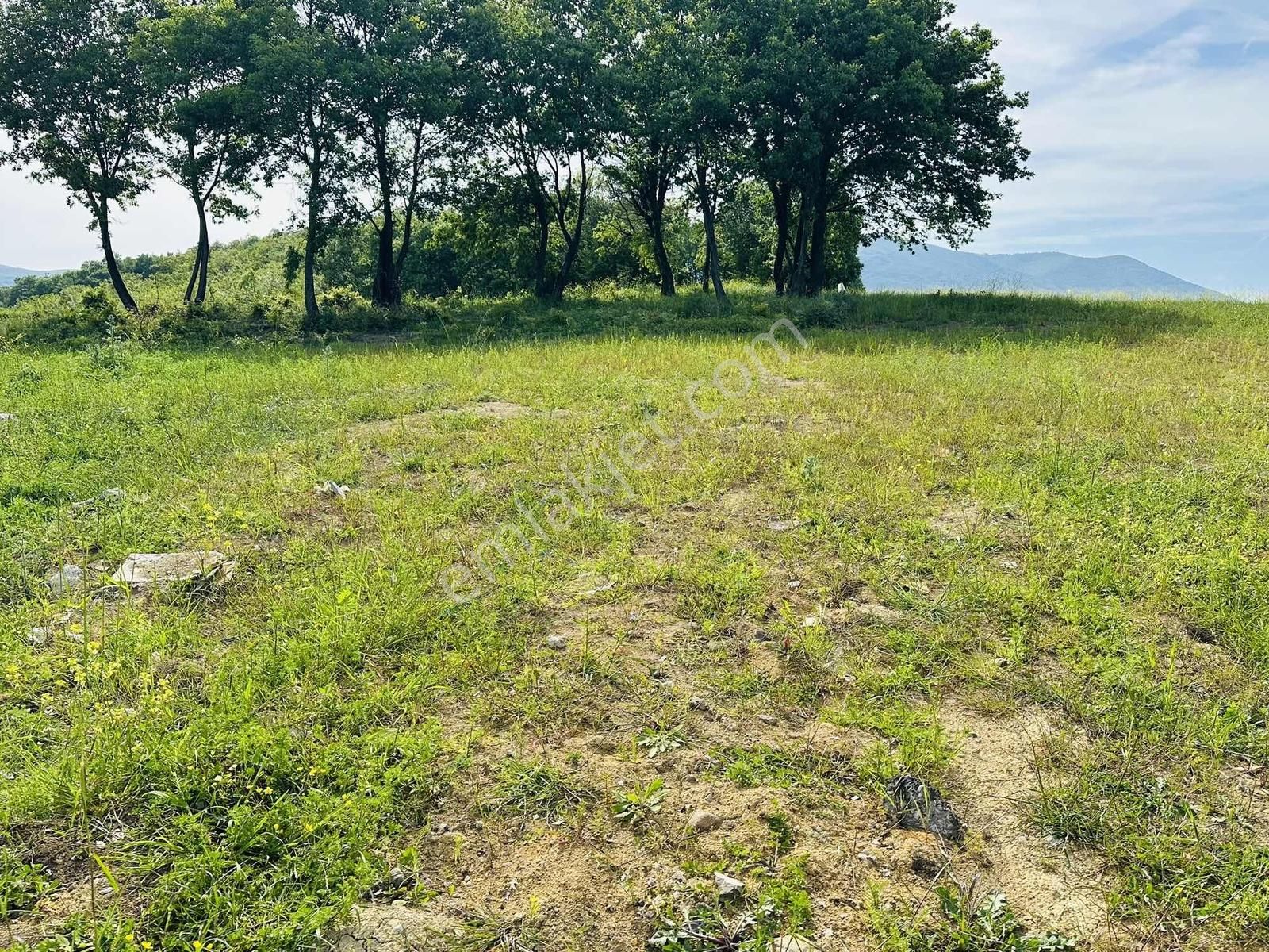 Full Deniz Manzaralı İmar Sınırında Satılık 7237 M2 Fırsat Tarla - Görsel 11