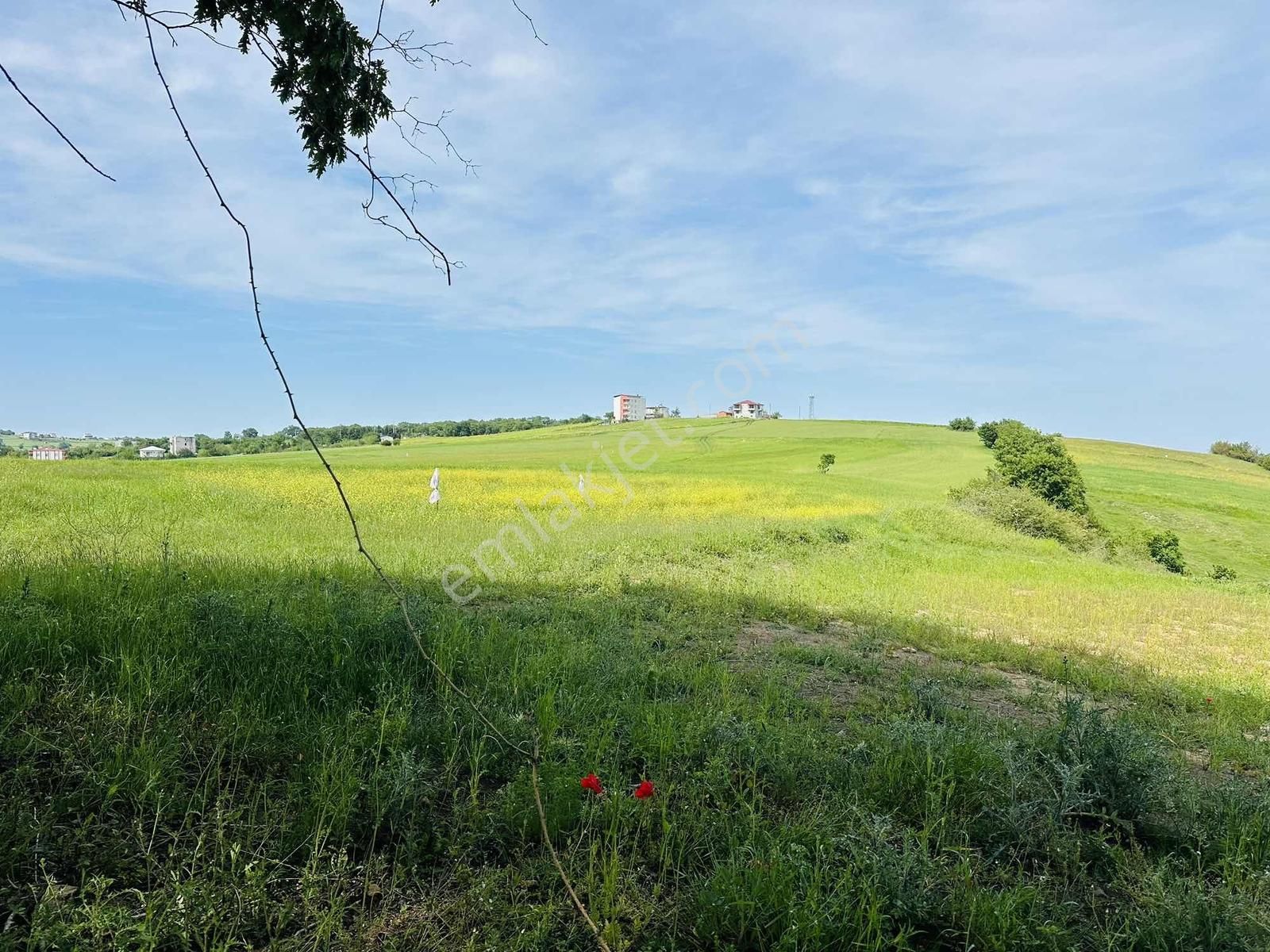 Full Deniz Manzaralı İmar Sınırında Satılık 7237 M2 Fırsat Tarla - Görsel 17