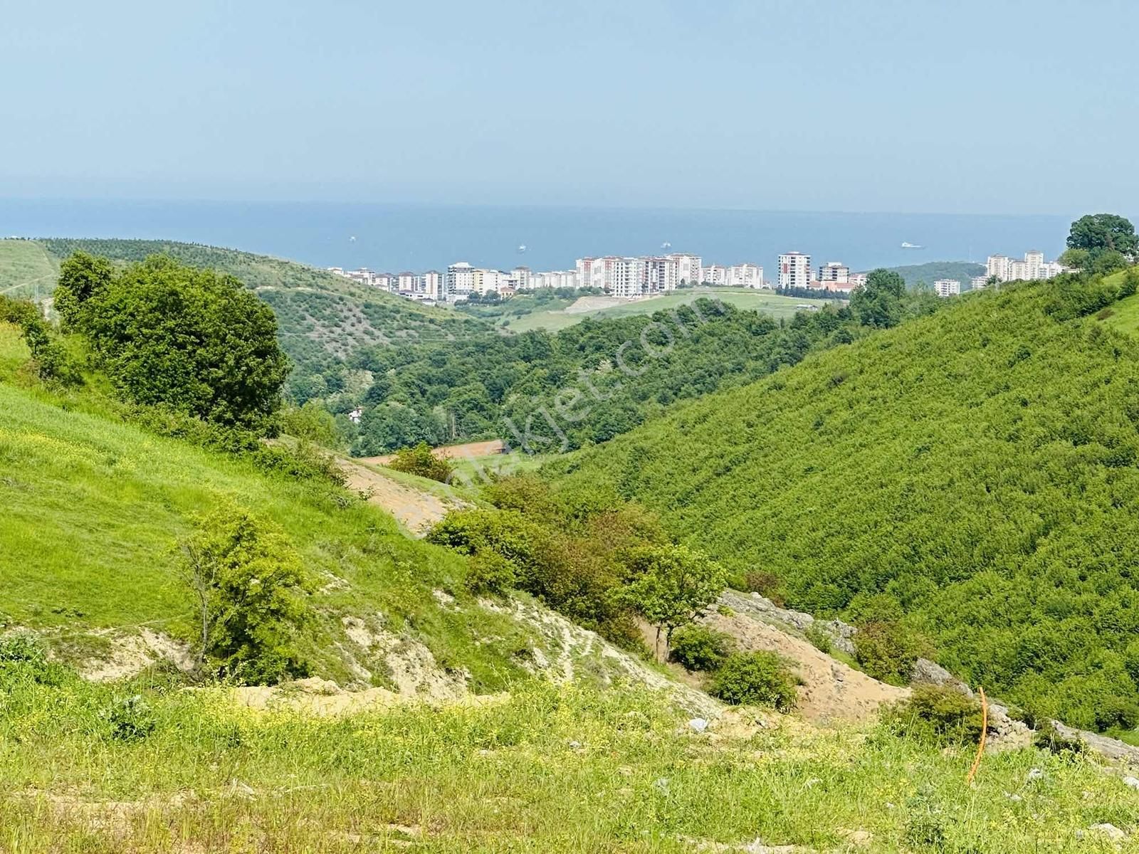 Full Deniz Manzaralı İmar Sınırında Satılık 7237 M2 Fırsat Tarla - Görsel 16