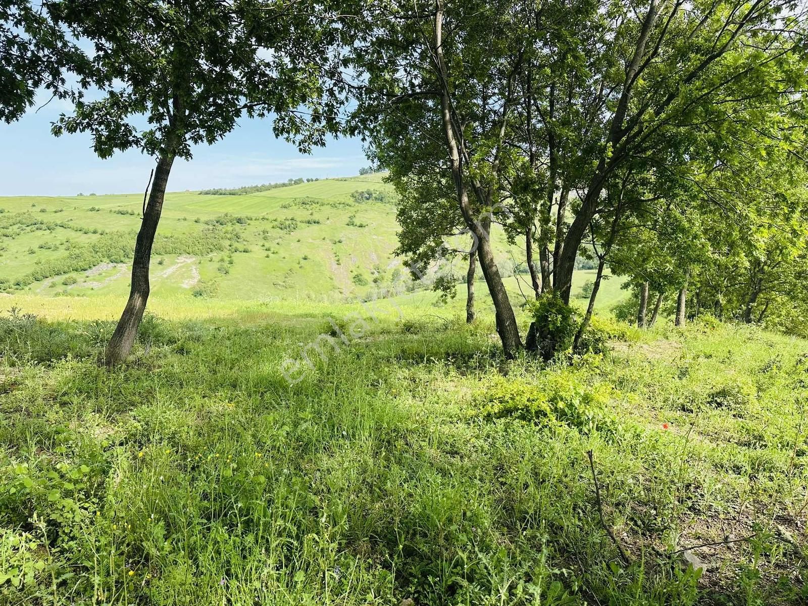 Full Deniz Manzaralı İmar Sınırında Satılık 7237 M2 Fırsat Tarla - Görsel 18