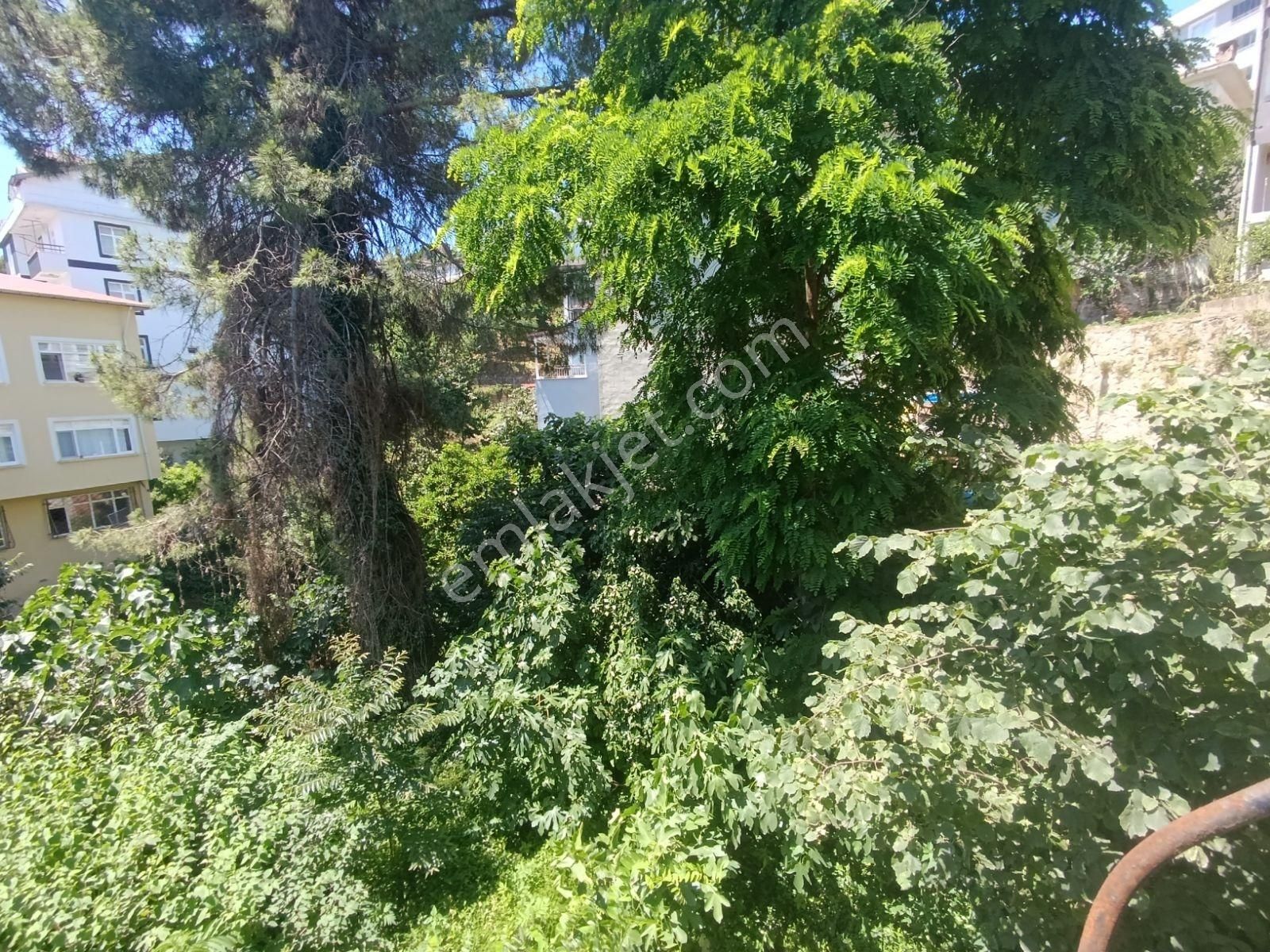 E.g.a Gayrimenkul Aziziye Mah İmarlı Fırsat Arsa - Görsel 3