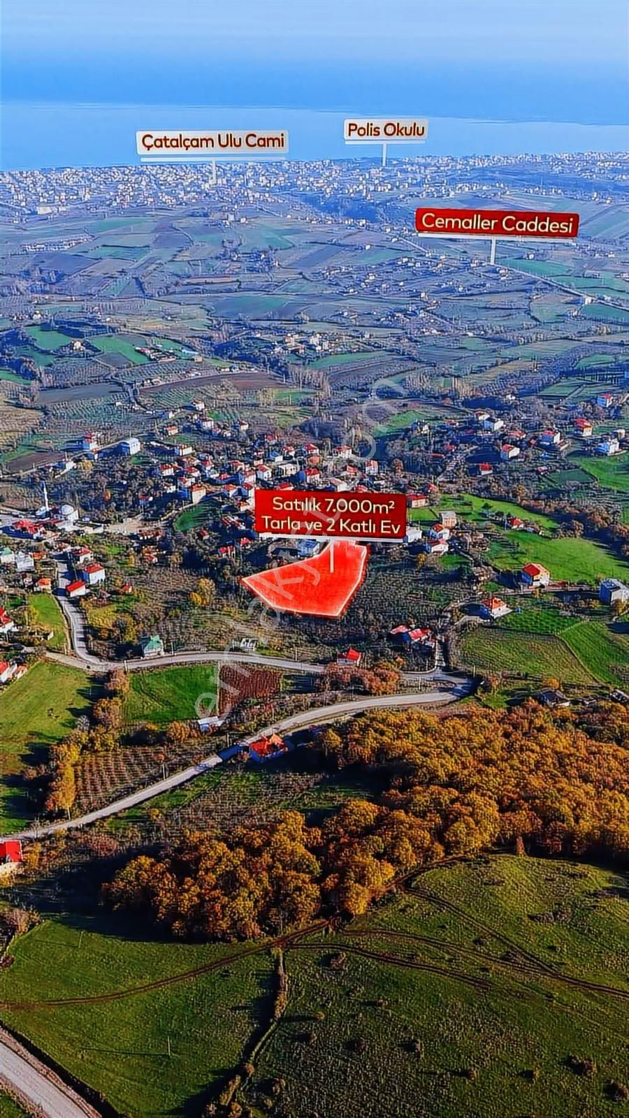 Truvadan Taflan'da Evi Hazır,tamamı Fındık Deniz Manzaralı Tarla - Görsel 4