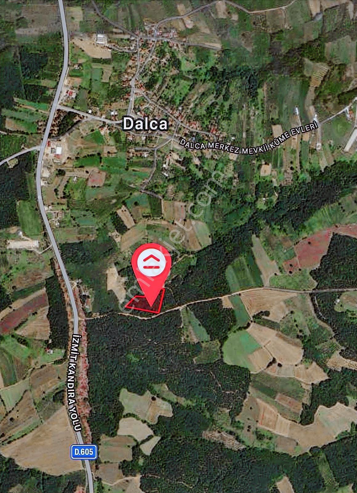 Kocaeli Kandıra Dalca Mevkii Satılık 10.240 M2 Yola Cephe Tarla