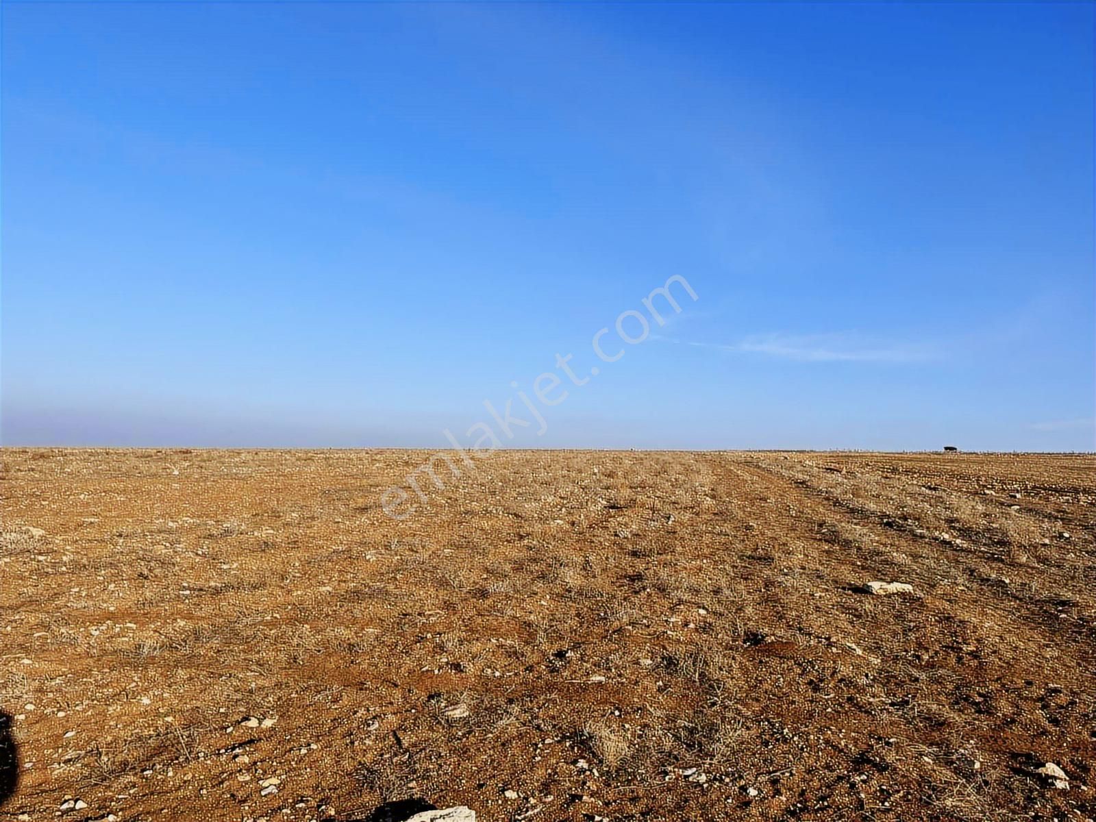 Başkan Emlaktan Satılık Seyitgazi İkiçeşme 54.550 M2 Tarla . - Görsel 3