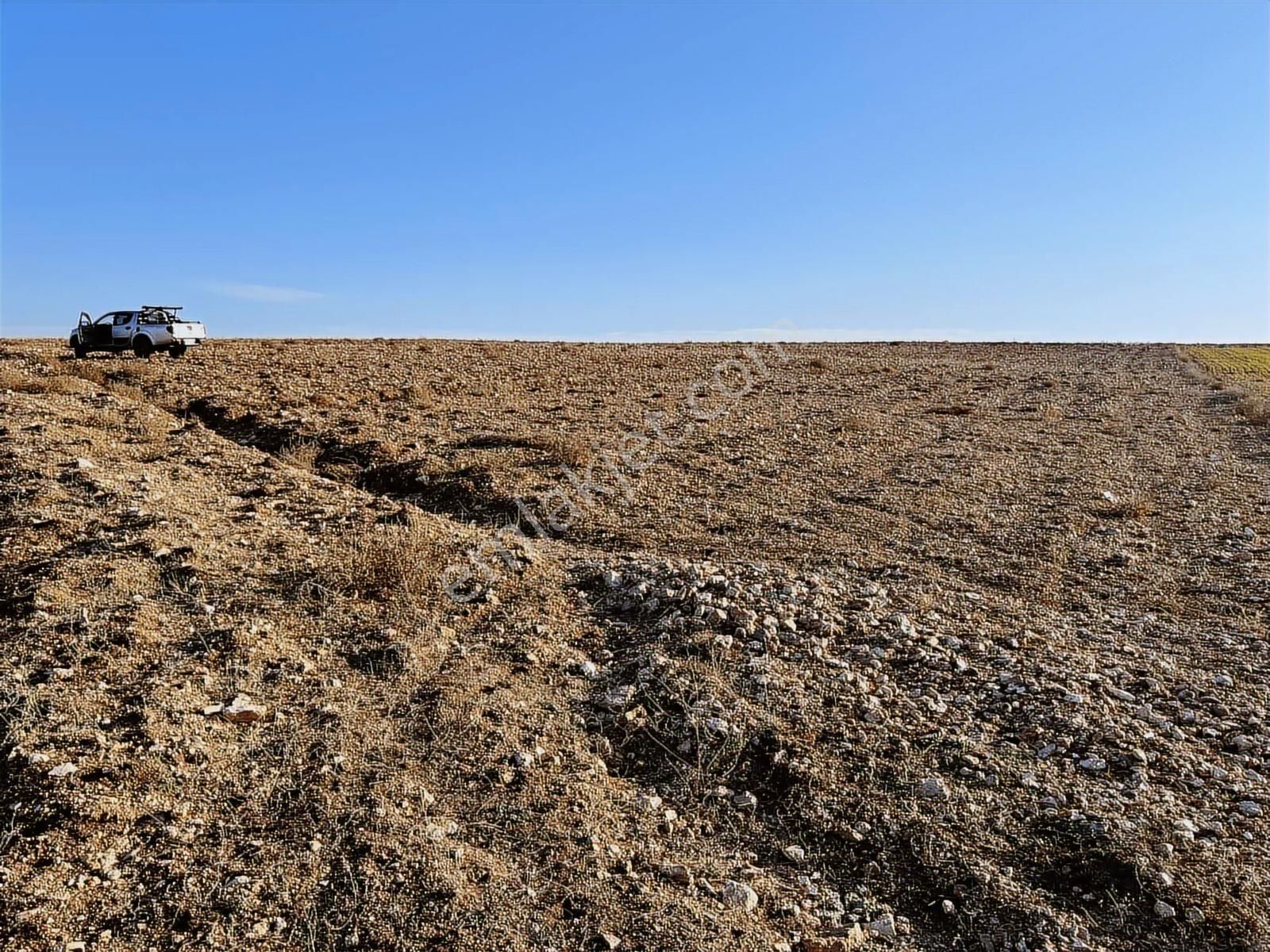 Başkan Emlaktan Satılık Seyitgazi İkiçeşme 54.550 M2 Tarla . - Görsel 11