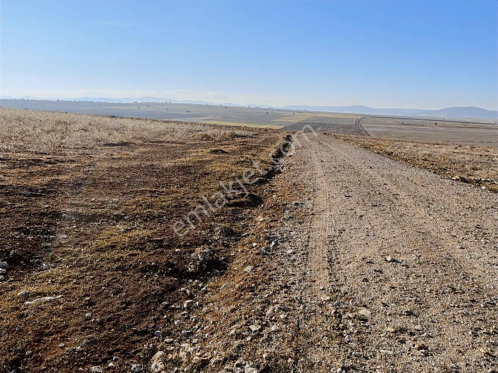 Başkan Emlaktan Satılık Seyitgazi İkiçeşme 54.550 M2 Tarla . - Görsel 22