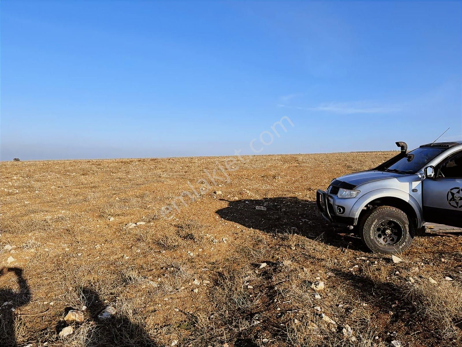 Başkan Emlaktan Satılık Seyitgazi İkiçeşme 54.550 M2 Tarla . - Görsel 9