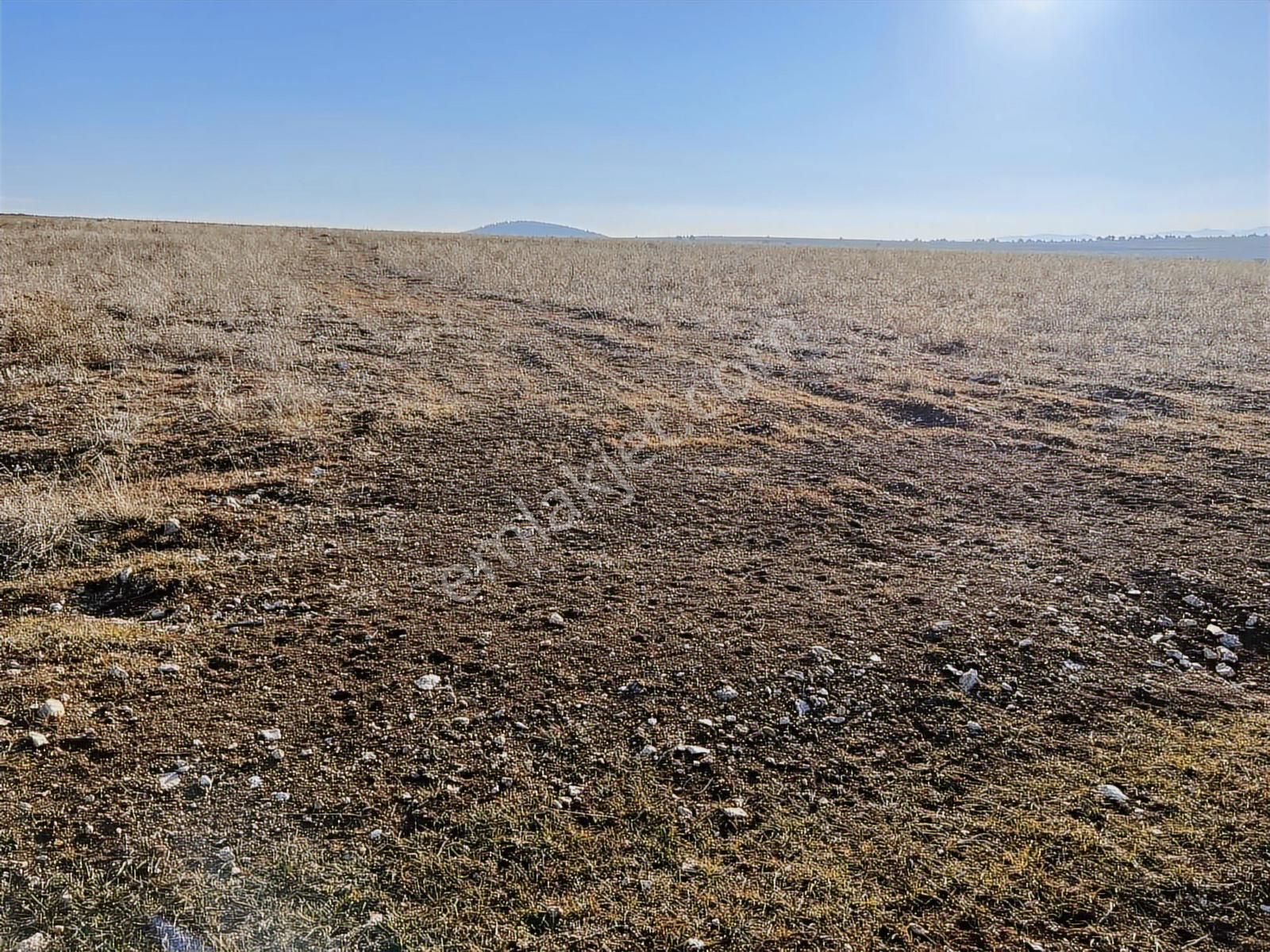 Başkan Emlaktan Satılık Seyitgazi İkiçeşme 54.550 M2 Tarla . - Görsel 12