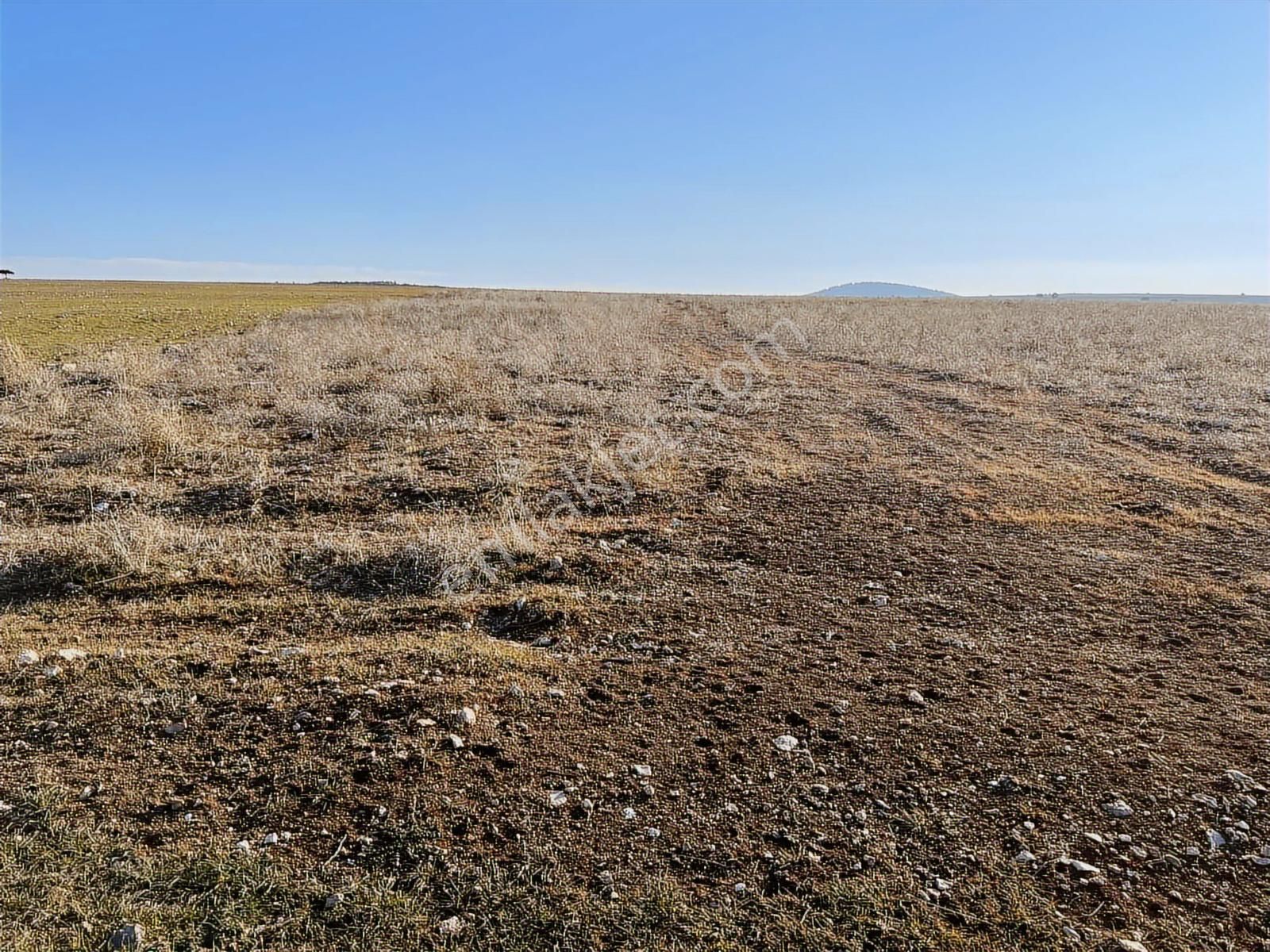 Başkan Emlaktan Satılık Seyitgazi İkiçeşme 54.550 M2 Tarla . - Görsel 14