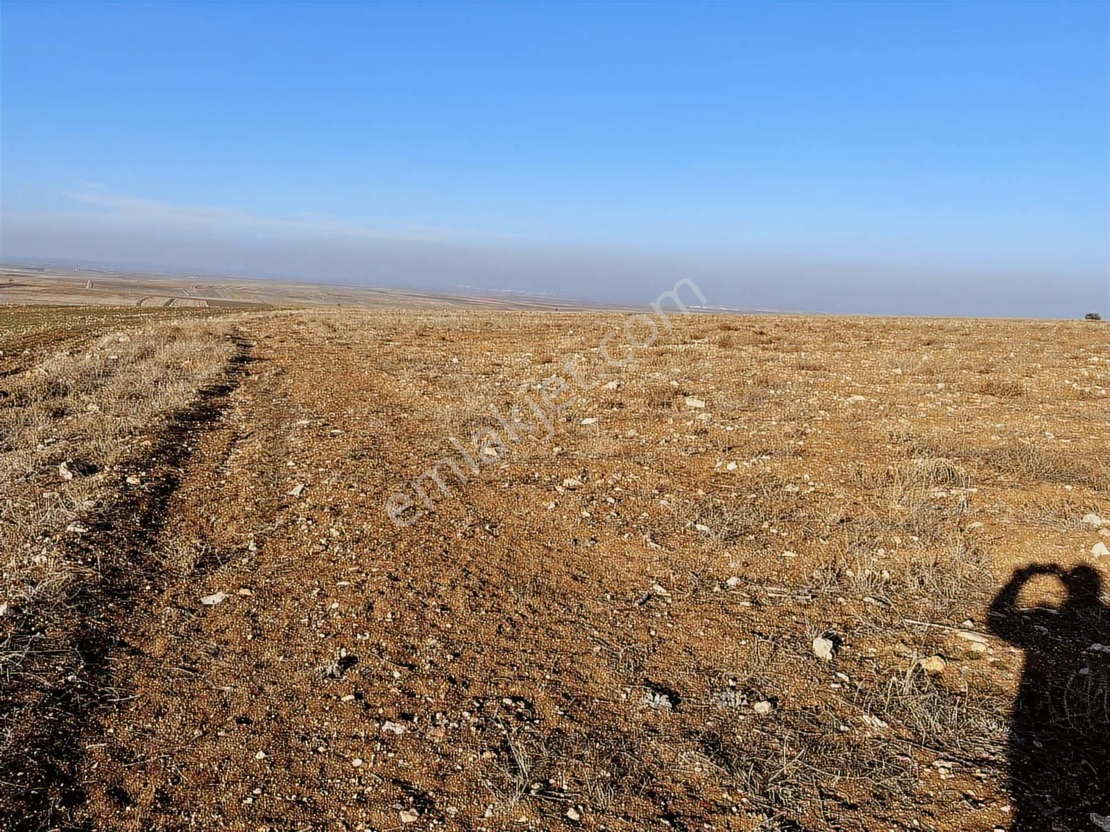Başkan Emlaktan Satılık Seyitgazi İkiçeşme 54.550 M2 Tarla . - Görsel 5
