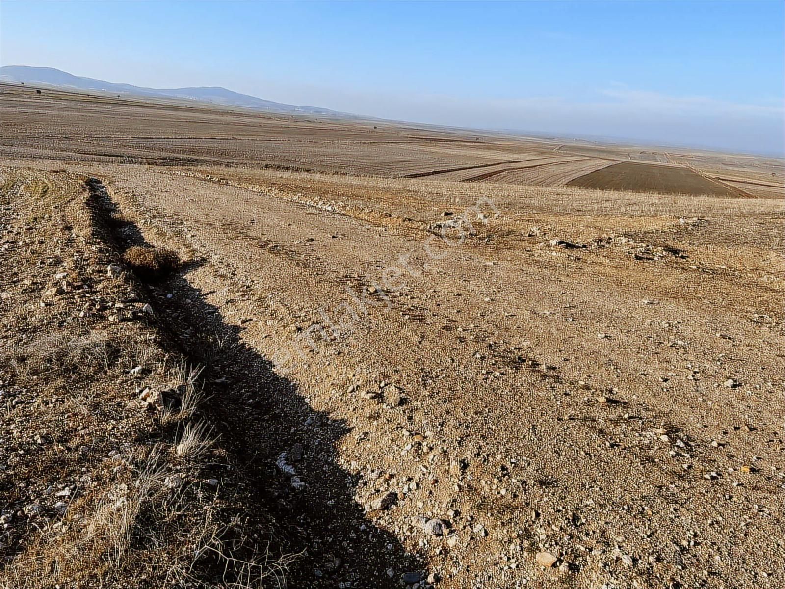 Başkan Emlaktan Satılık Seyitgazi İkiçeşme 54.550 M2 Tarla . - Görsel 10