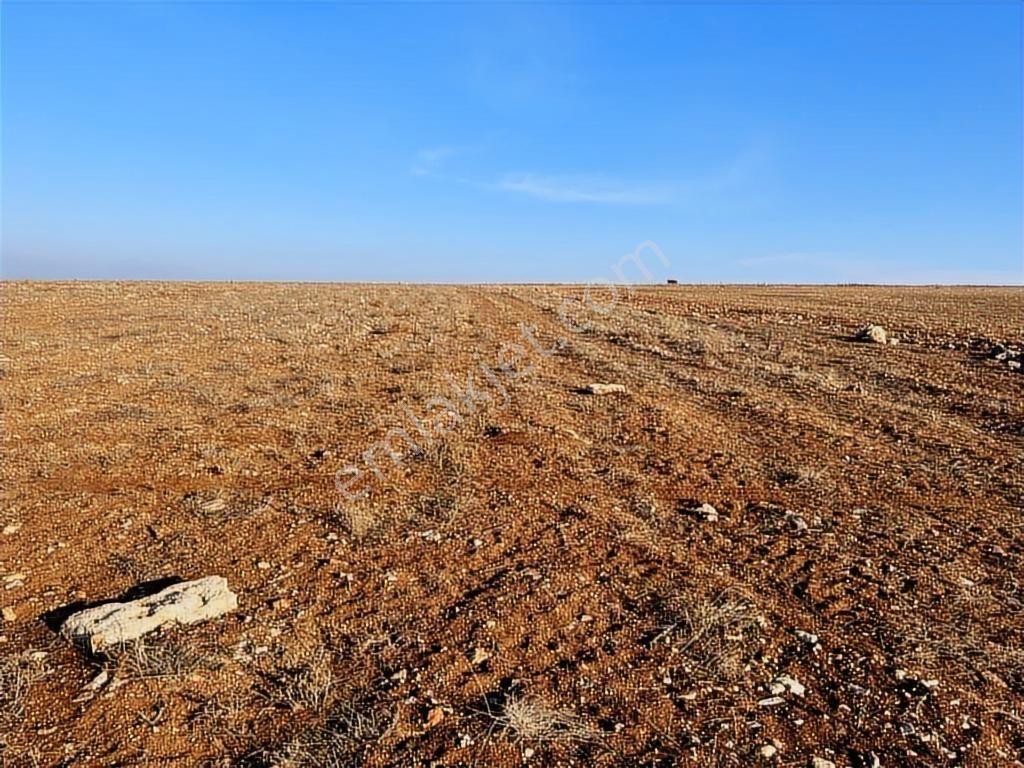 Başkan Emlaktan Satılık Seyitgazi İkiçeşme'de 13.610 M2 Tarla - Görsel 4