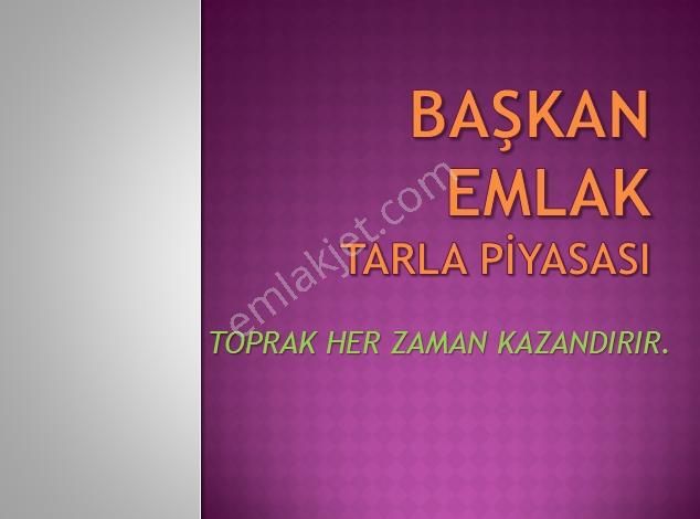 Başkan Emlaktan Satılık Seyitgazi İkiçeşme'de 13.610 M2 Tarla - Görsel 11