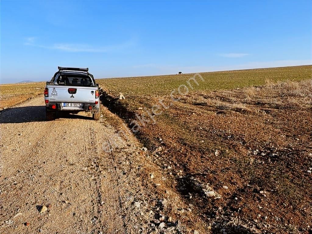Başkan Emlaktan Satılık Seyitgazi İkiçeşme'de 13.610 M2 Tarla