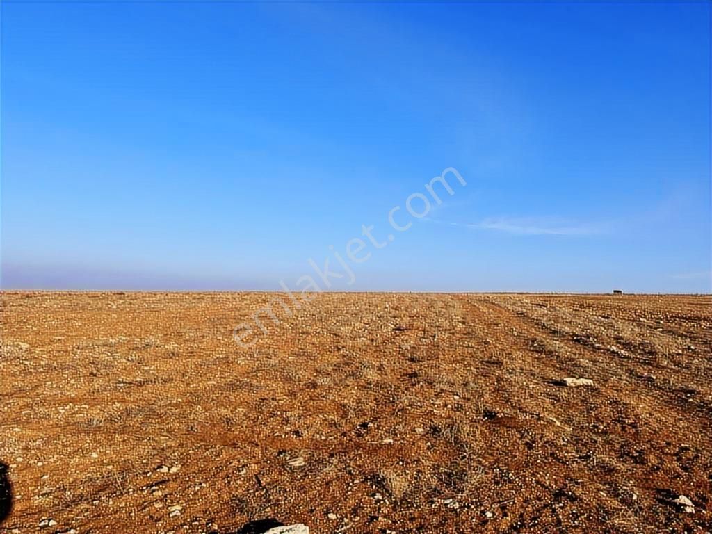 Başkan Emlaktan Satılık Seyitgazi İkiçeşme'de 13.610 M2 Tarla - Görsel 3