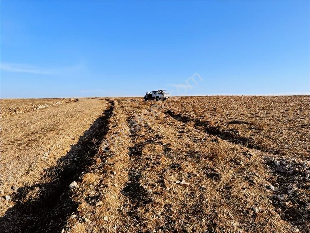 Başkan Emlaktan Satılık Seyitgazi İkiçeşme'de 13.610 M2 Tarla - Görsel 21