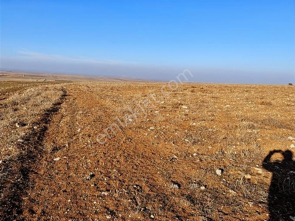 Başkan Emlaktan Satılık Seyitgazi İkiçeşme'de 13.610 M2 Tarla - Görsel 12