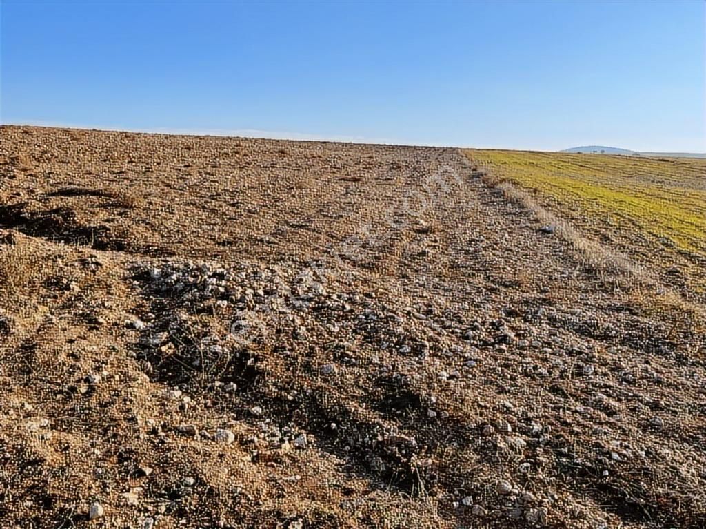 Başkan Emlaktan Satılık Seyitgazi İkiçeşme'de 13.610 M2 Tarla - Görsel 7