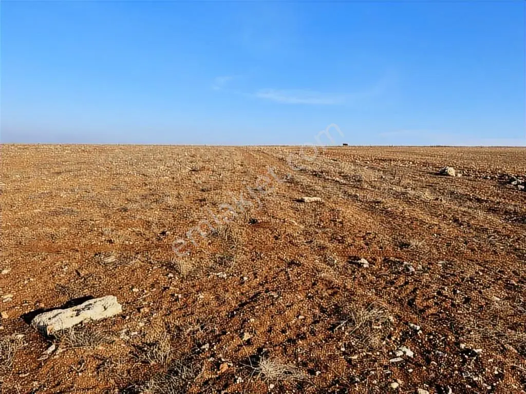 Başkan Emlaktan Satılık Seyitgazi İkiçeşme'de 13.610 M2 Tarla - Görsel 21