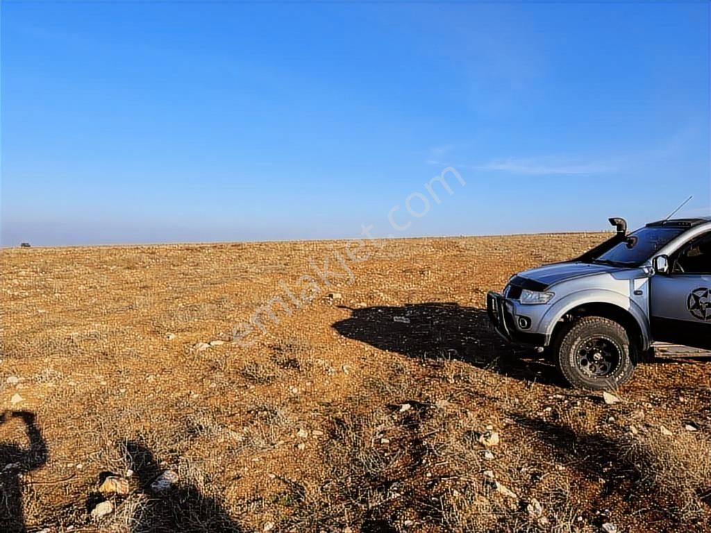 Başkan Emlaktan Satılık Seyitgazi İkiçeşme'de 13.610 M2 Tarla - Görsel 13