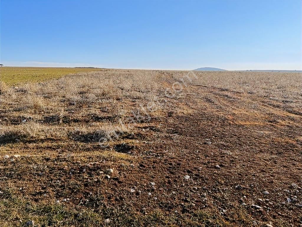 Başkan Emlaktan Satılık Seyitgazi İkiçeşme'de 13.610 M2 Tarla - Görsel 14