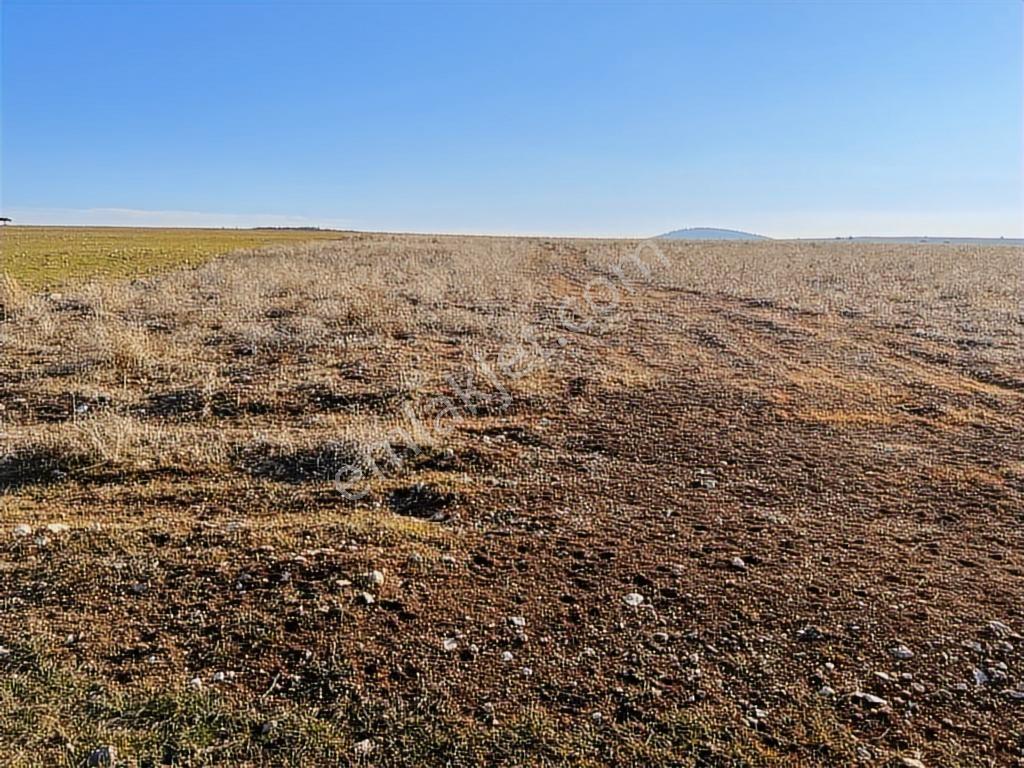 Başkan Emlaktan Satılık Seyitgazi İkiçeşme'de 13.610 M2 Tarla - Görsel 4